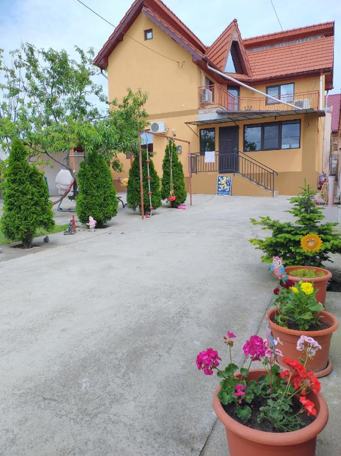Dalila Corbu (Constanta) Exterior foto
